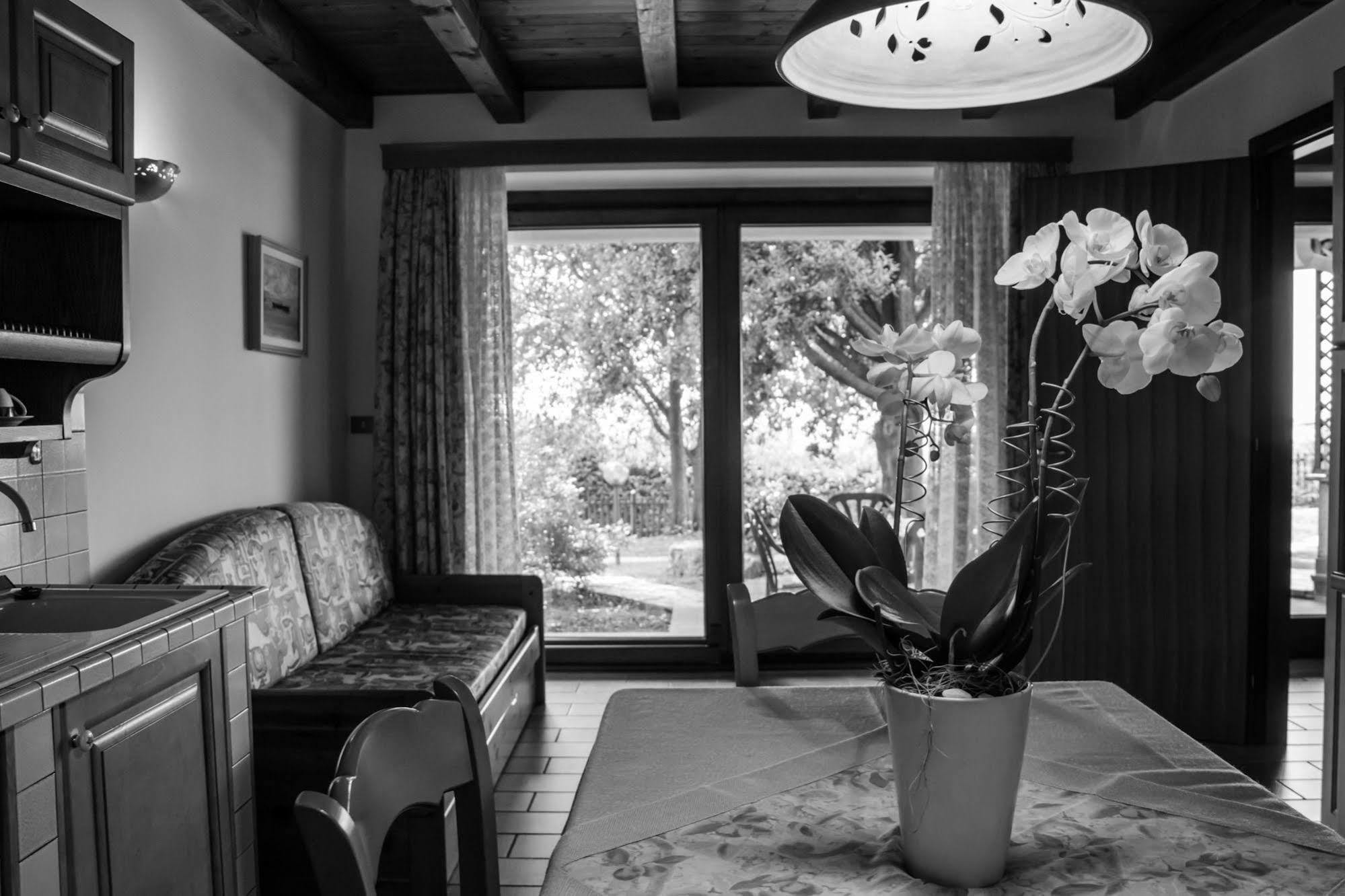 Terra Del Carso Villa San Pelagio ภายนอก รูปภาพ